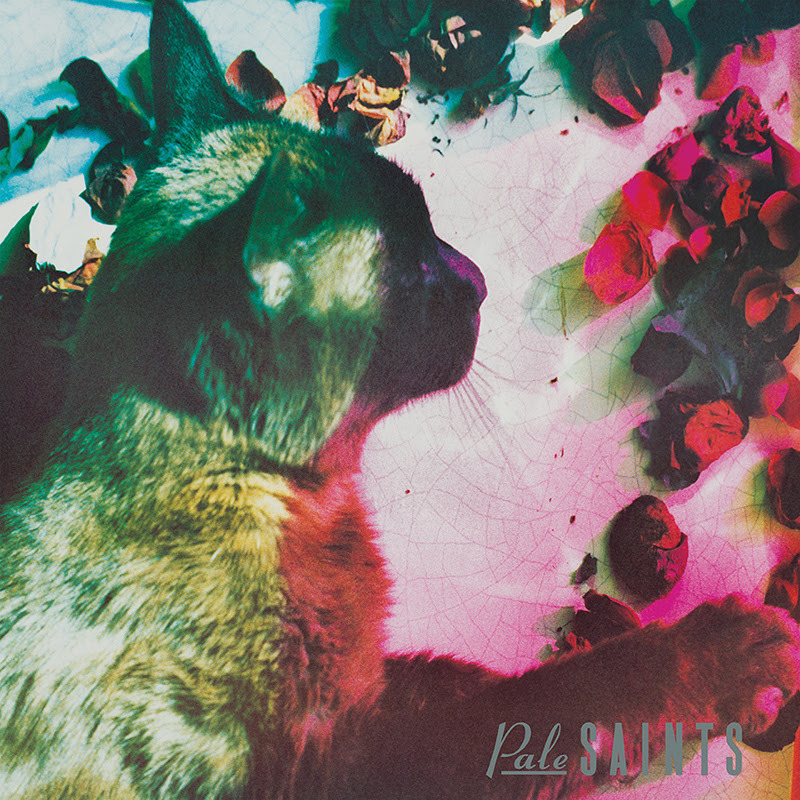 The Comforts Of Madness by Pale Saints image