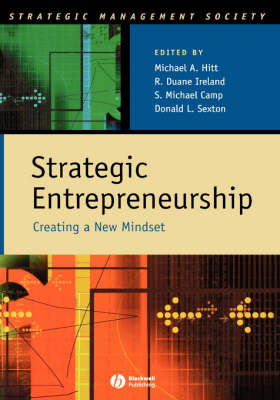 Strategic Entrepreneurship image