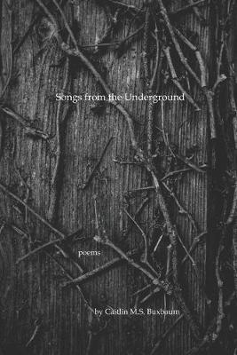 Songs from the Underground by Caitlin M S Buxbaum image