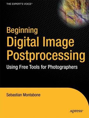 Beginning Digital Image Processing by Sebastian Montabone image