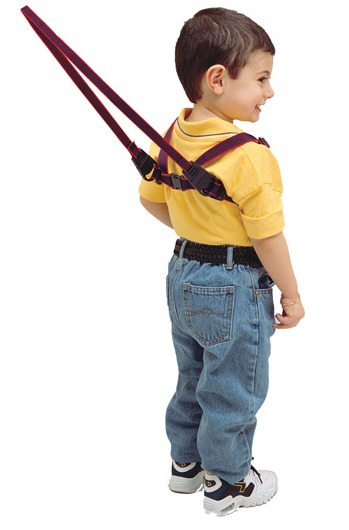 Jolly Jumper: Baby Harness image