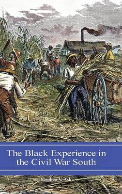 The Black Experience in the Civil War South image