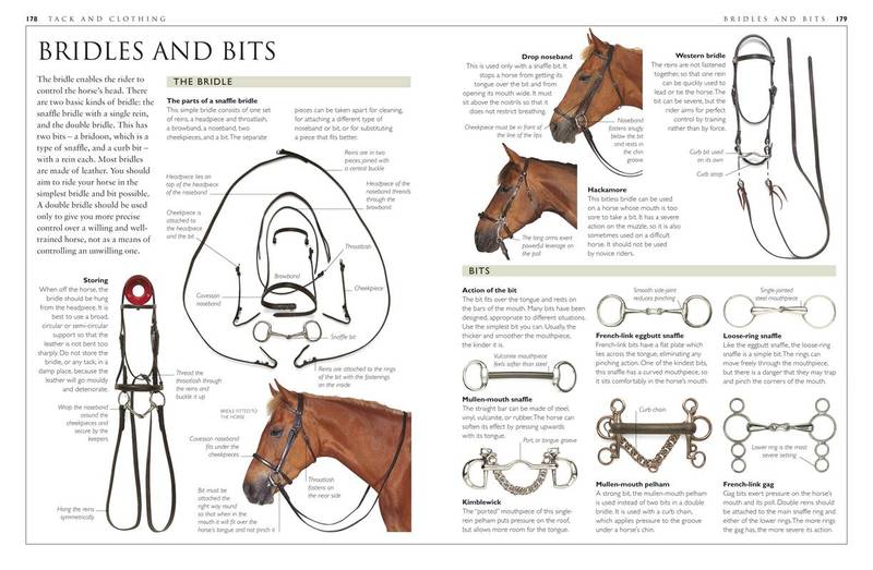 Complete Horse Care Manual image