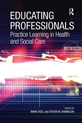 Educating Professionals by Steven M Shardlow image