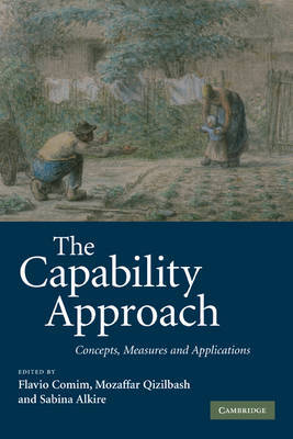 The Capability Approach image