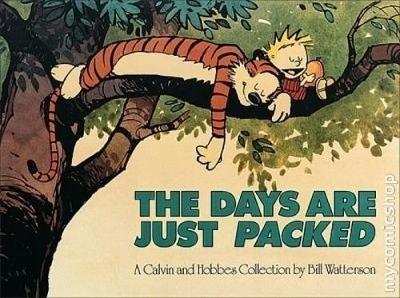 The Days Are Just Packed by Bill Watterson image