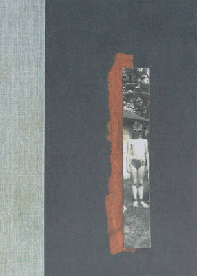 Nox by Anne Carson image