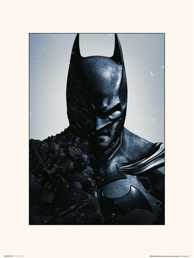 Batman: Arkham Origins - Collector Print (30x40cm)