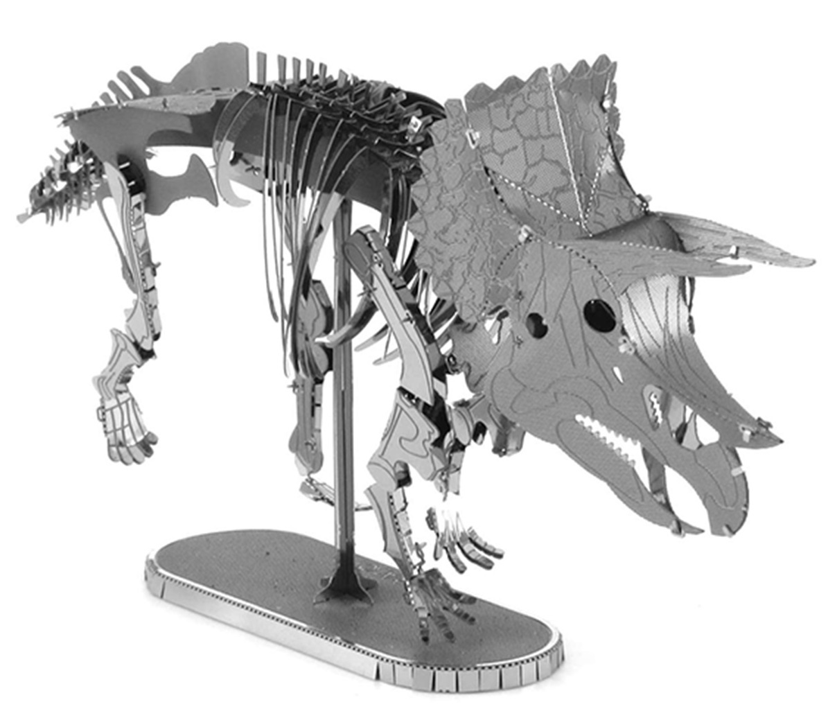 Metal Earth: Triceratops Skeleton - Model Kit image