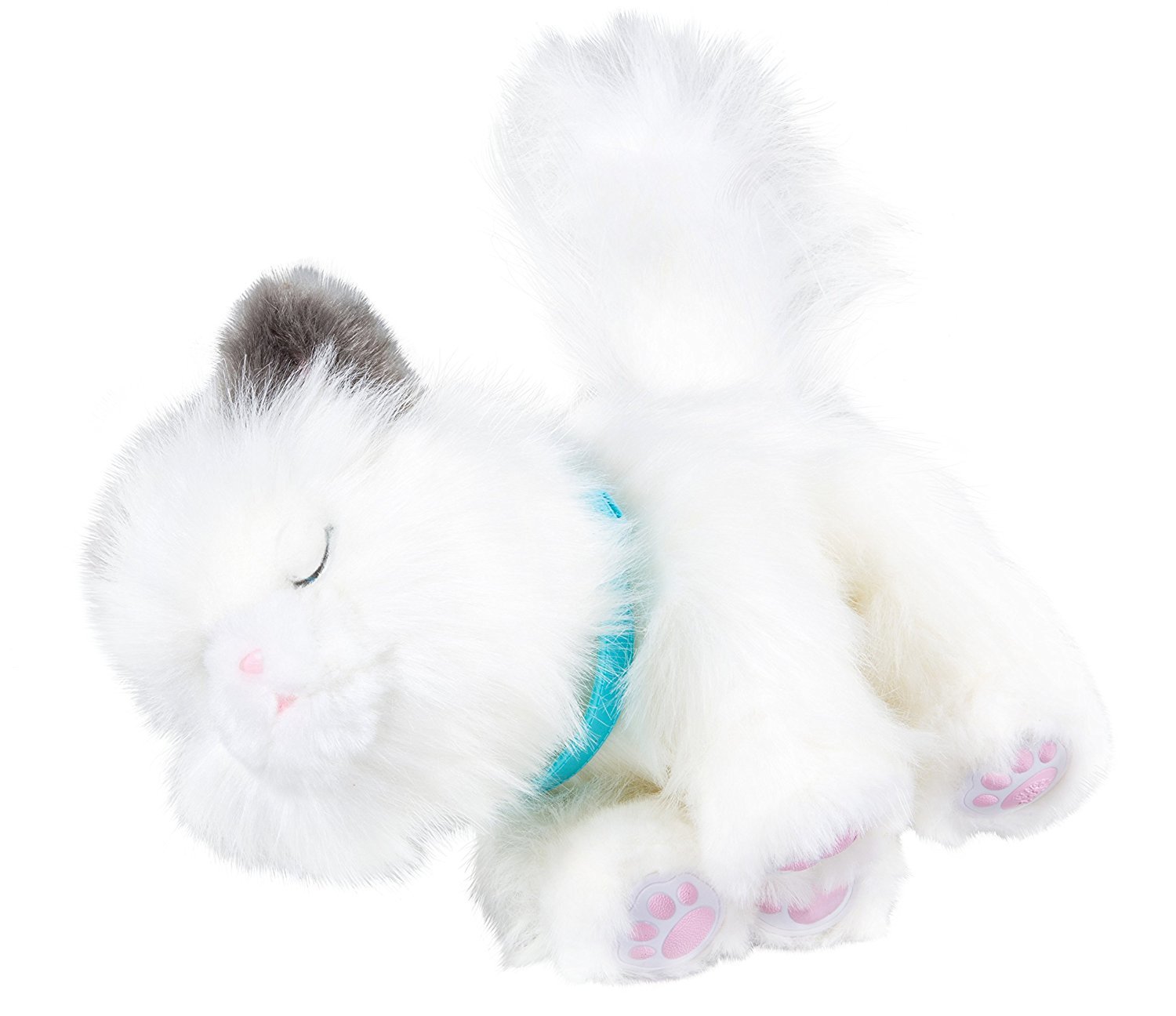Little Live Pets: My Dream Kitten - Cuddles image