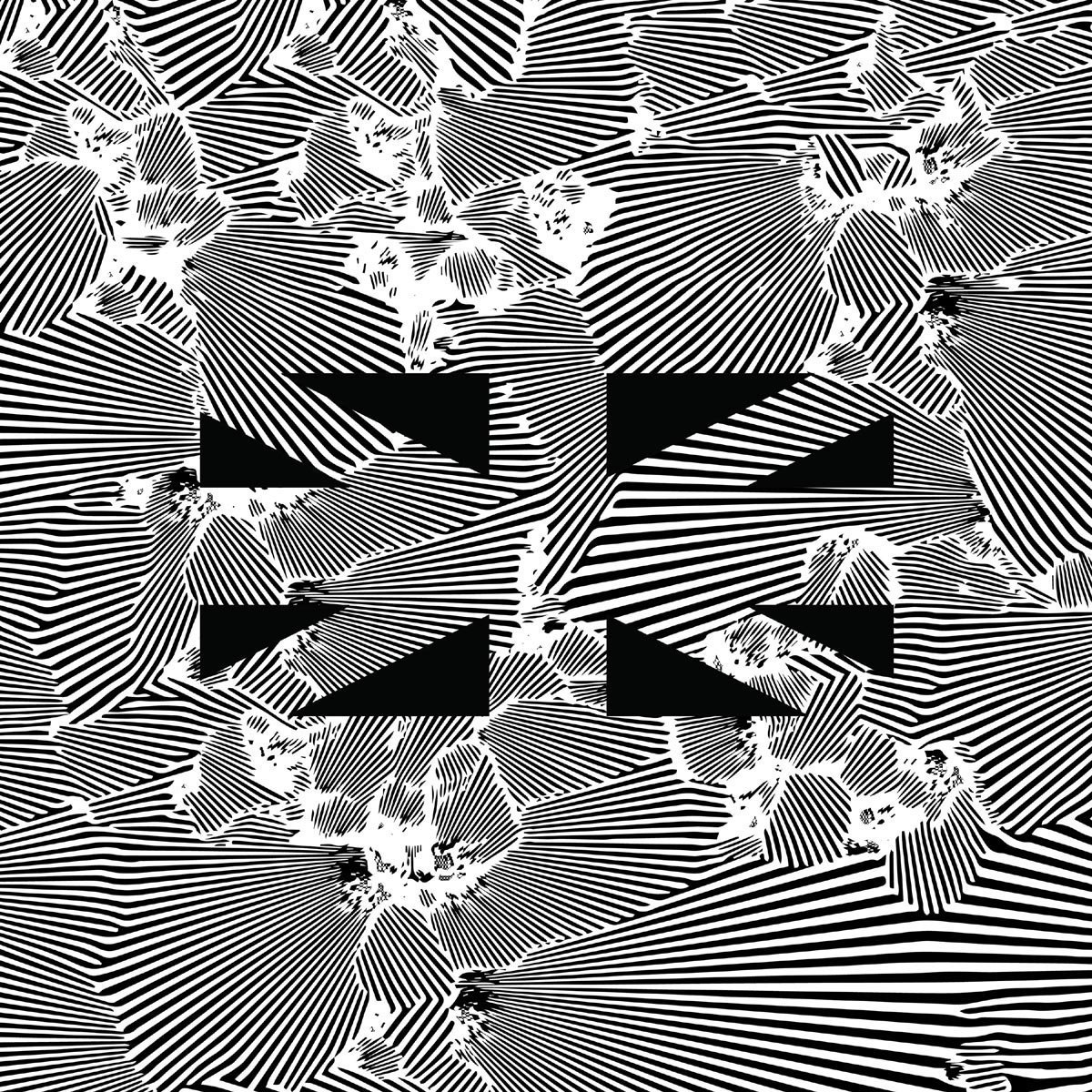No Future (2LP) by Moire image