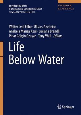 Life Below Water image