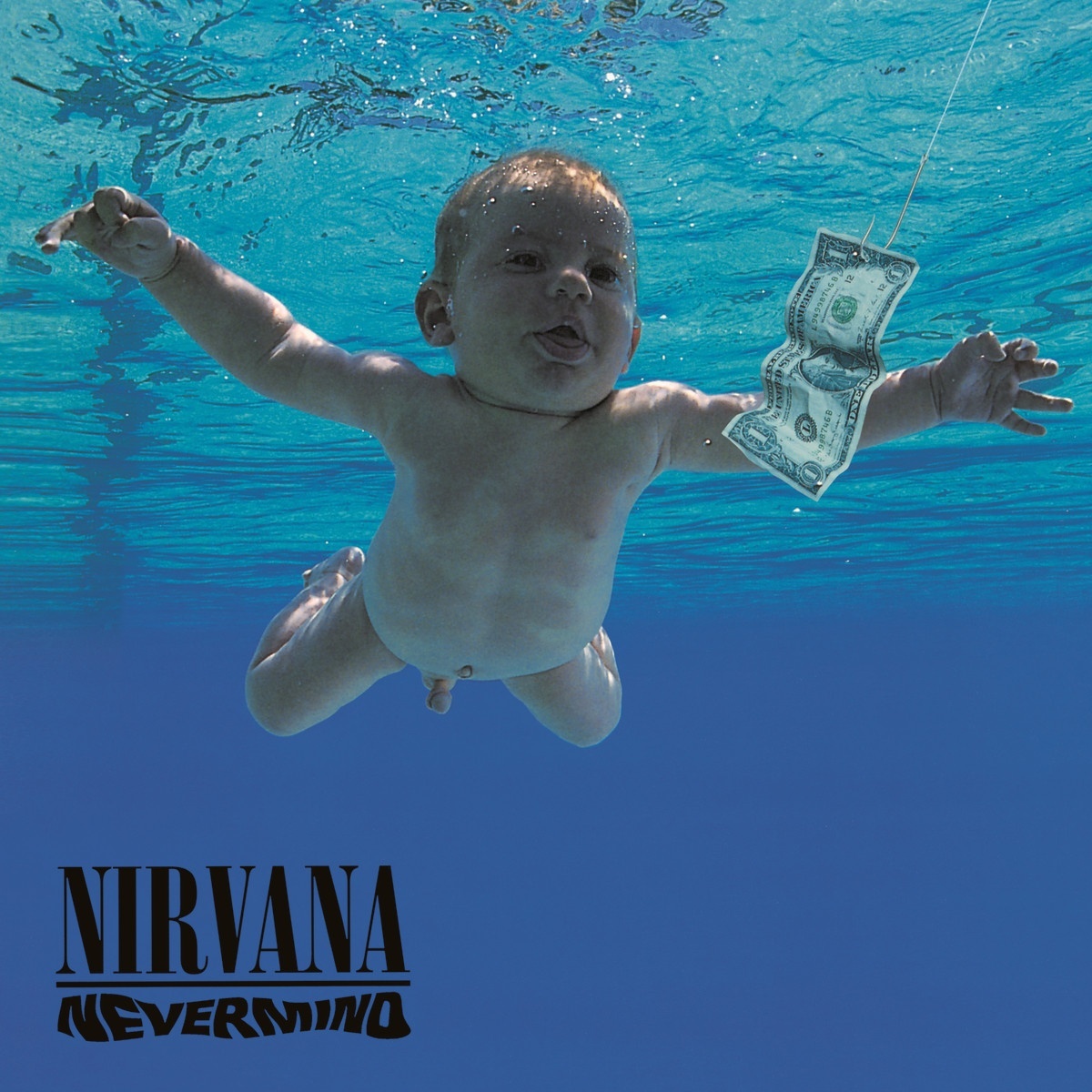 Nevermind by Nirvana image