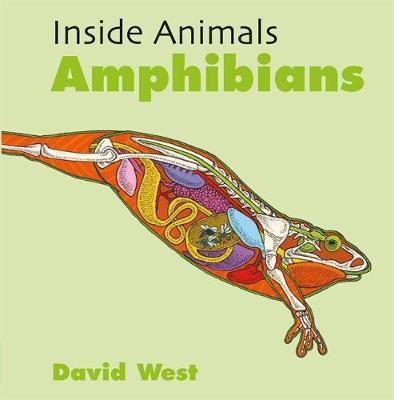 Inside Animals: Amphibians by David West image