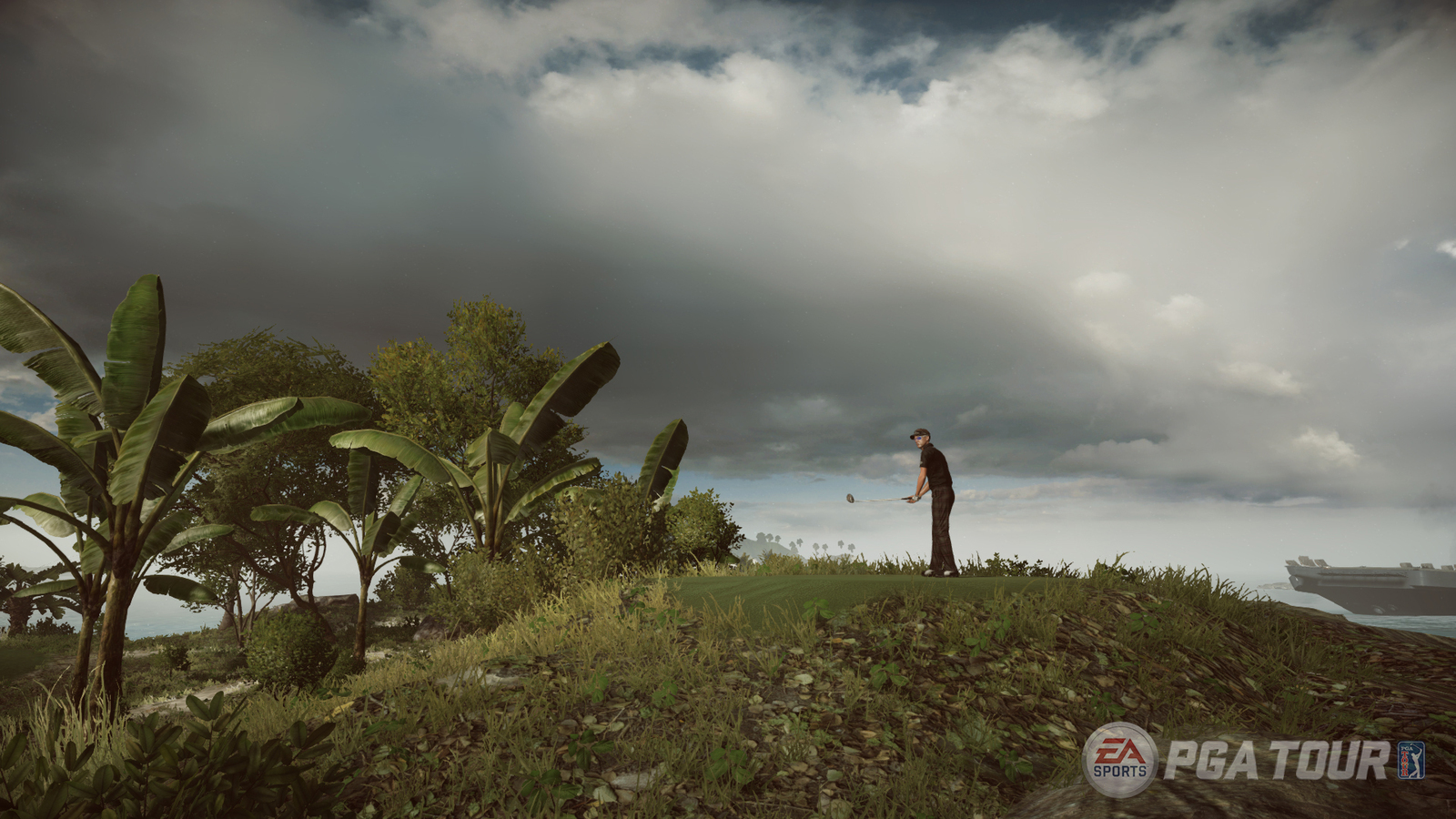 Rory Mcllroy PGA Tour for PS4 image