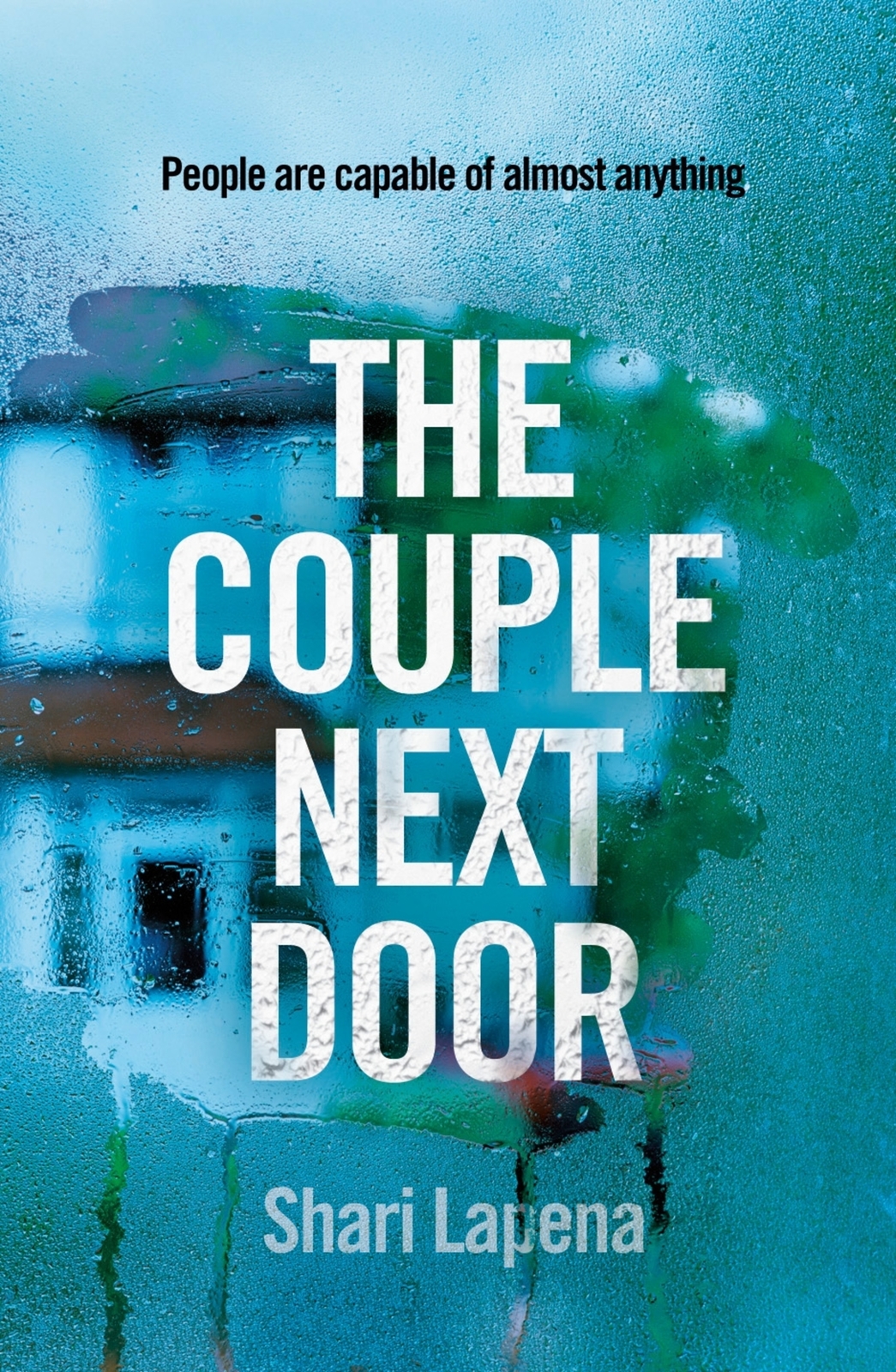 The Couple Next Door by Shari Lapena image