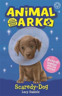 Animal Ark, New 2: Scaredy-Dog by Lucy Daniels image