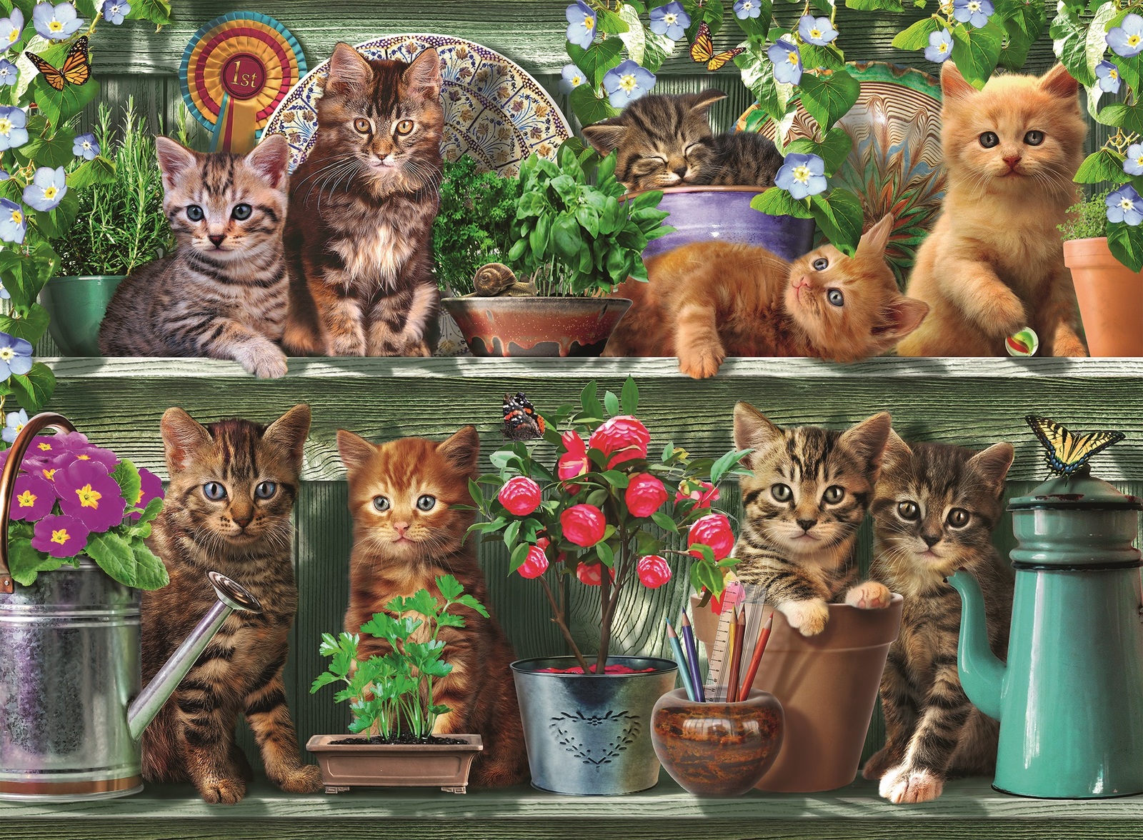 Ravensburger: Cats on the Shelf (500pc Jigsaw)