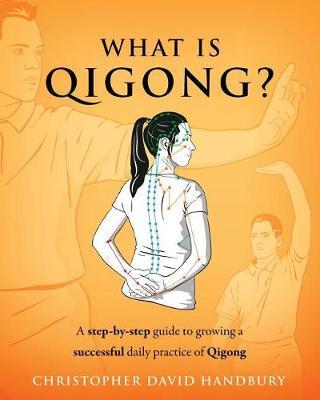 What Is Qigong? by Christopher David Handbury image