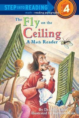 A Fly On The Ceiling by Julie Glass image