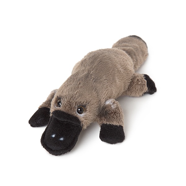 Wild: Parry Junior Platypus 15Cm image