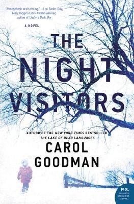 The Night Visitors by Carol Goodman image