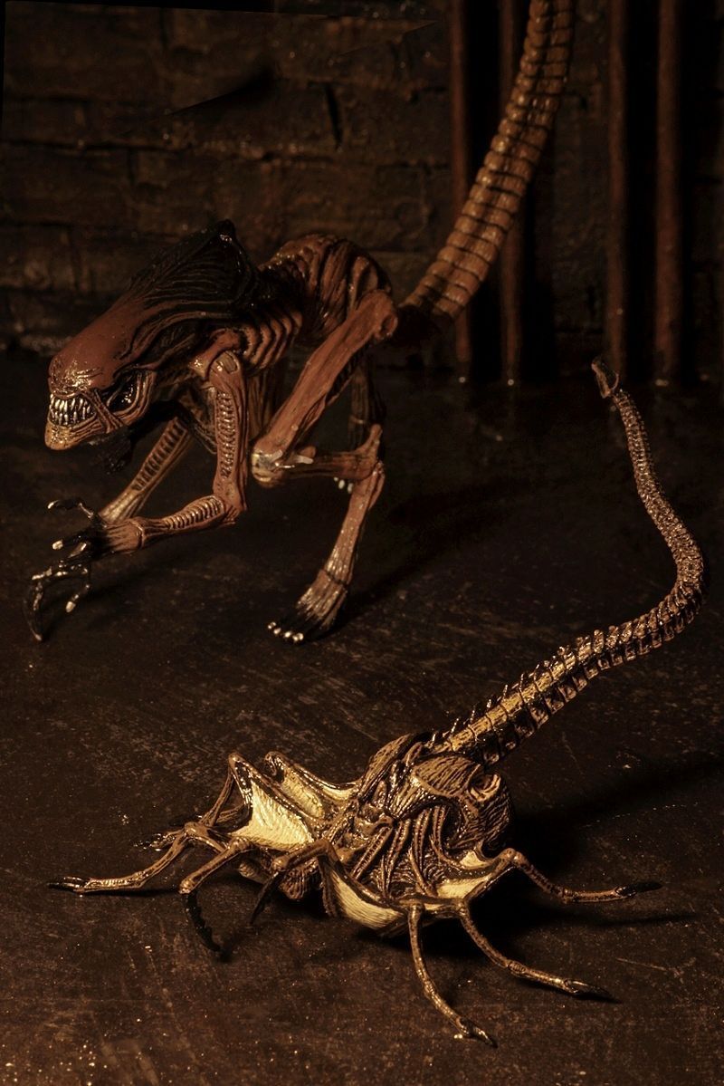 Alien 7-inch Action Figure Series: Alien 3 Creature Pack - Action Figure image