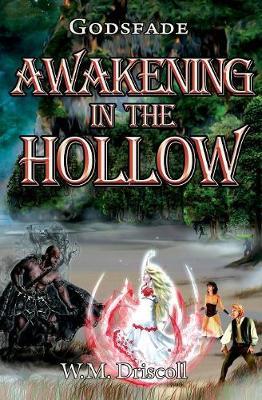 Awakening in the Hollow by W M Driscoll image