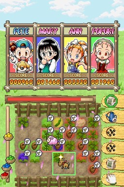 Puzzle de Harvest Moon for Nintendo DS image