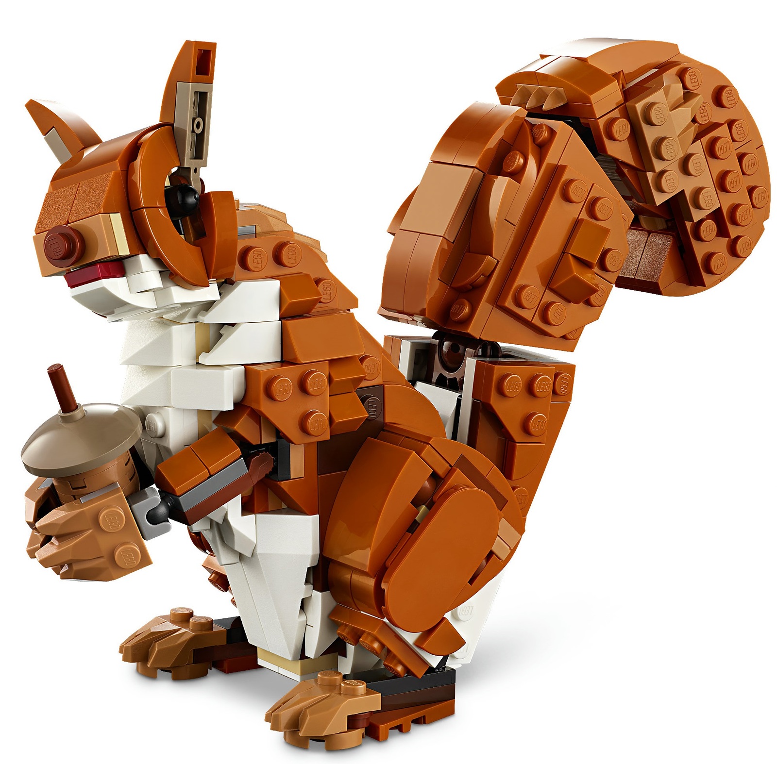 Buy LEGO Creator: 3-In-1 - Forest Animals at Mighty Ape NZ