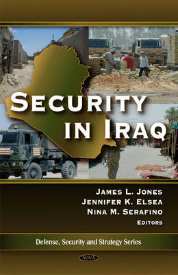 Security in Iraq image