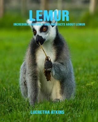 Lemur by Lueretha Atkins image