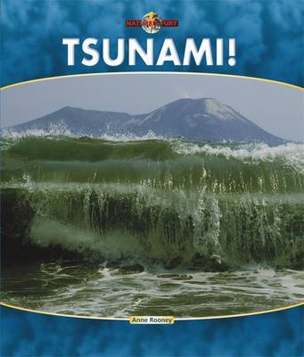 Tsunami by Anne Rooney image