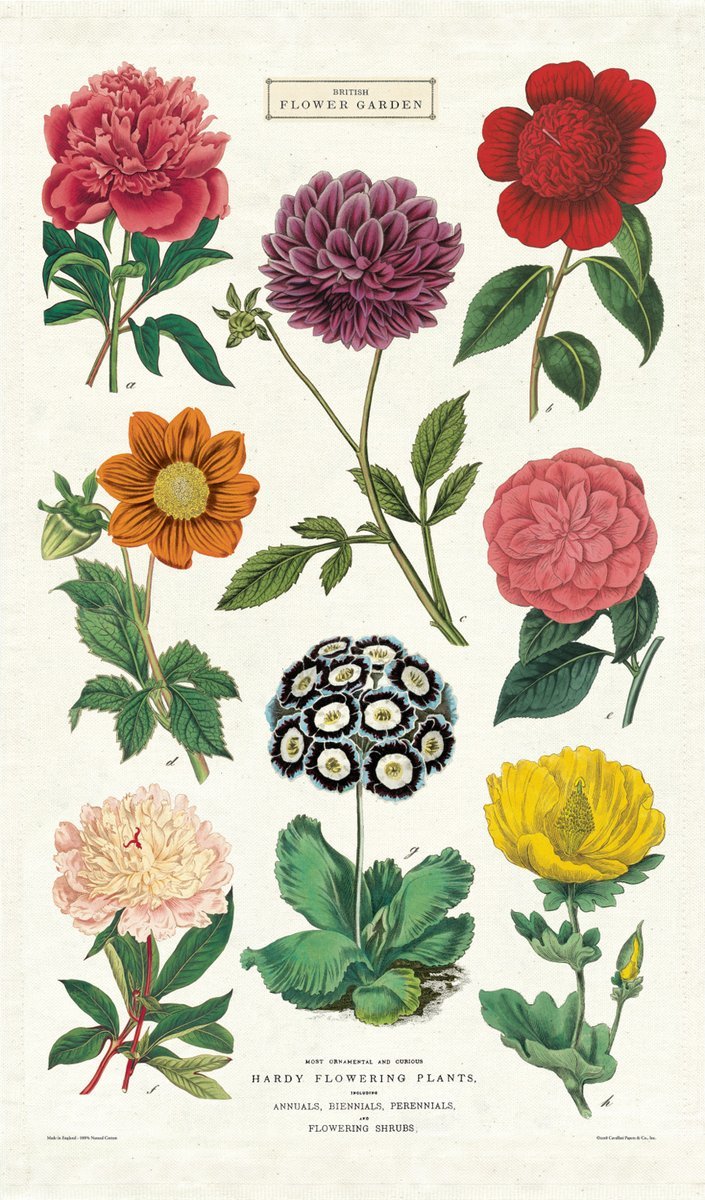 Botanica Tea Towel