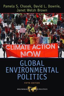 Global Environmental Politics by Pamela S Chasek image
