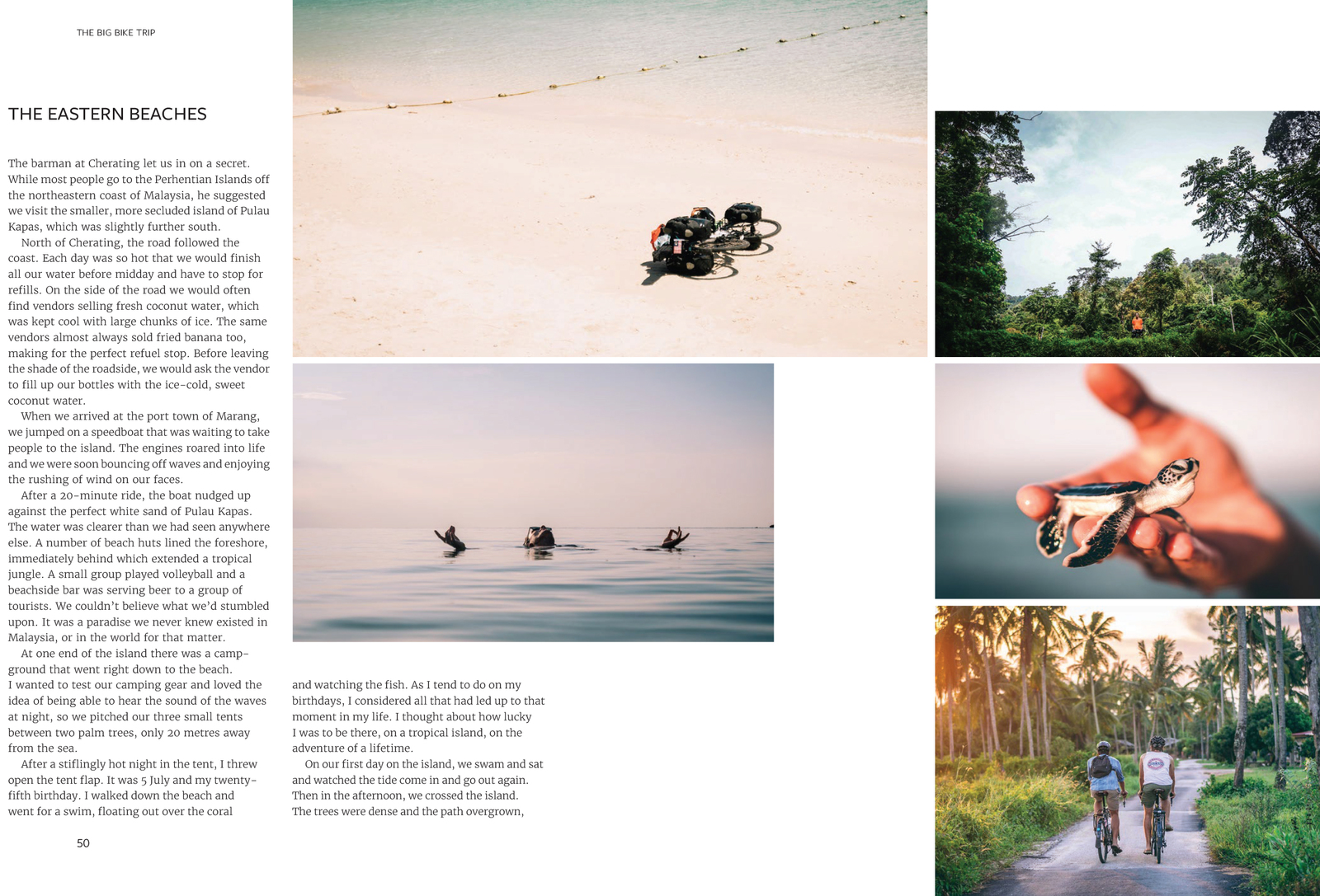 The Big Bike Trip by Freddie Gillies image