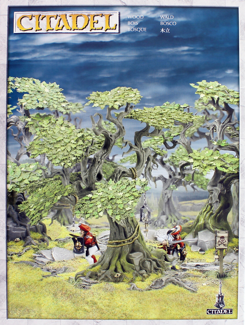 Citadel Wood at Mighty Ape NZ