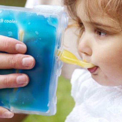 Cherub Baby: On The Go Food Pouch Warmer/Cooler image