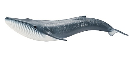 Schleich: Blue Whale