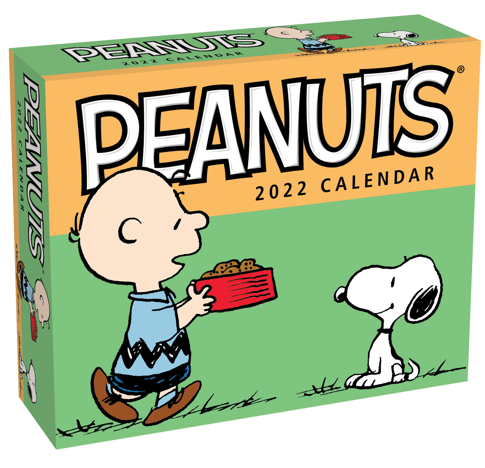 Peanuts - 2022 Day-to-Day Calendar by Peanuts Worldwide LLC