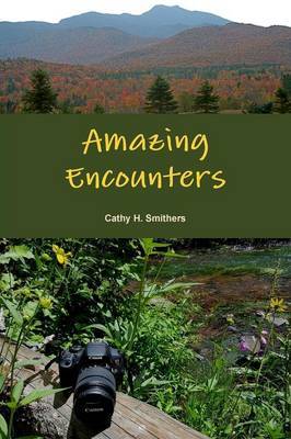 Amazing Encounters by Cathy H. Smithers image