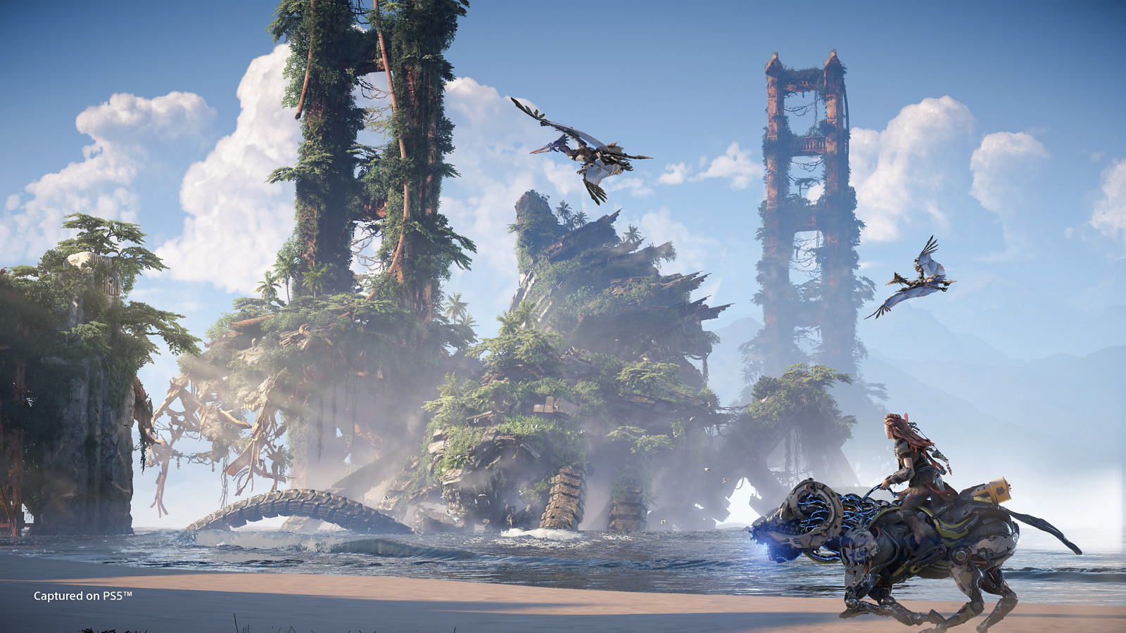Horizon Forbidden West for PS4 image