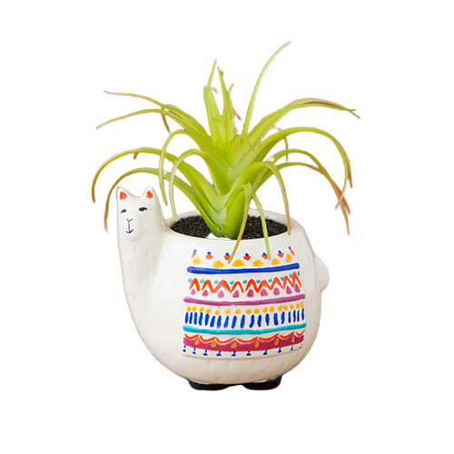 Natural Life: Critter Succulent - Llama image