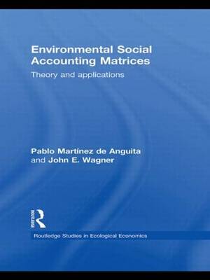 Environmental Social Accounting Matrices by Pablo Martinez de Anguita image