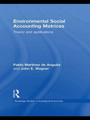 Environmental Social Accounting Matrices on Hardback by Pablo Martinez de Anguita