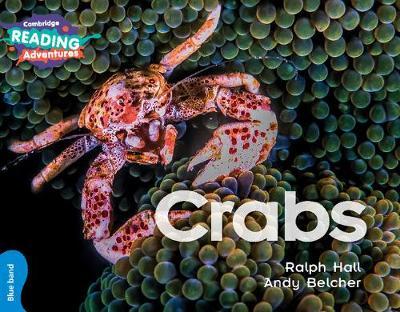 Crabs Blue Band by Ralph Hall image