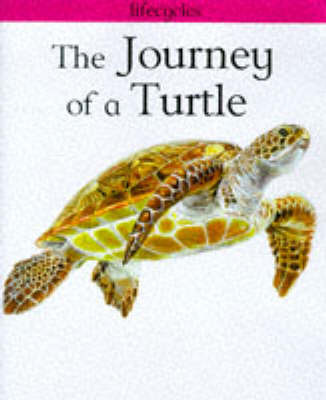 The Journey of a Turtle by Carolyn Scrace image
