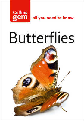 Butterflies by Michael Chinery image
