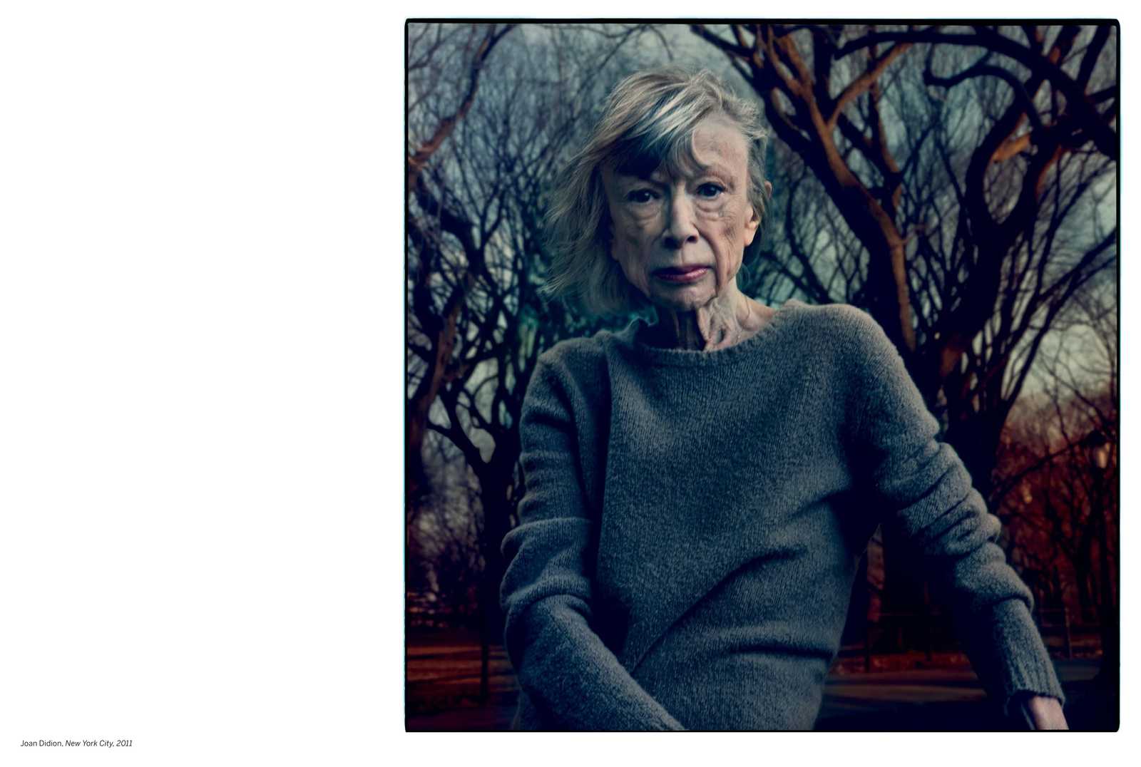 Annie Leibovitz: Portraits 2005-2016 image