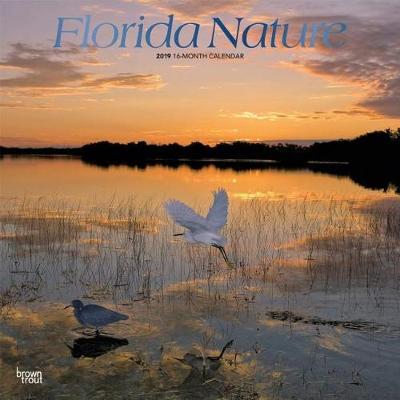 Florida Nature 2019 Square Foil by Inc Browntrout Publishers image